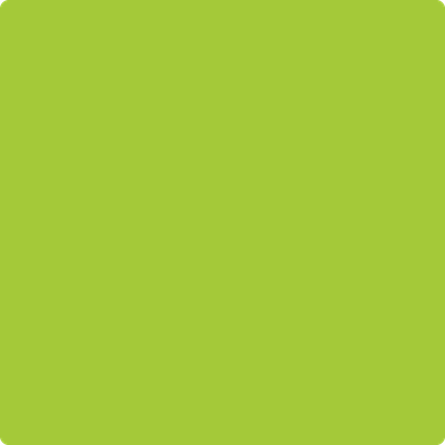 Shop 2026-20 Margarita by Benjamin Moore at Catalina Paint Stores. We are your local Los Angeles Benjmain Moore dealer.