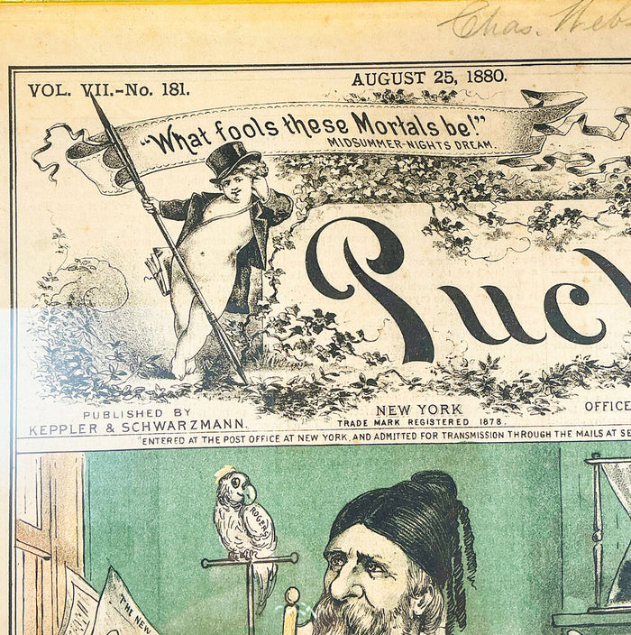 "Shocking!" Pub by Puck Magazine 1880